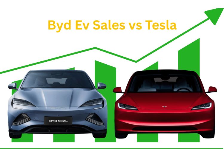 byd ev sales vs tesla
