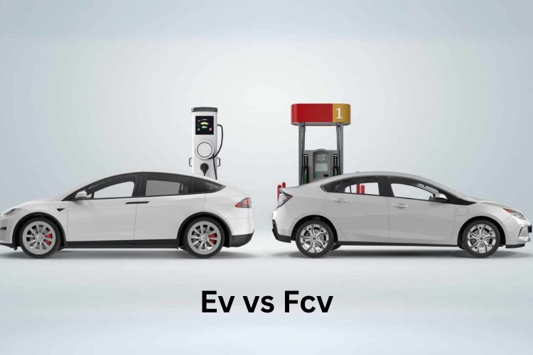 ev vs fcv