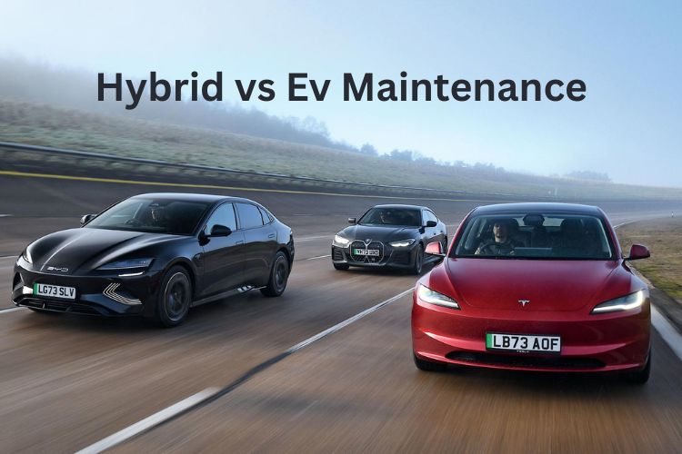 hybrid vs ev maintenance