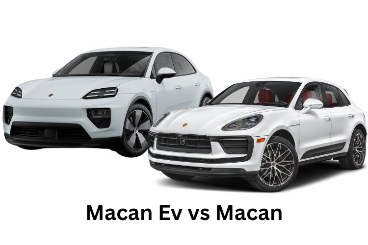 macan ev vs macan