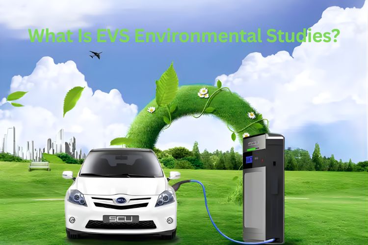 what is evs environmental studies