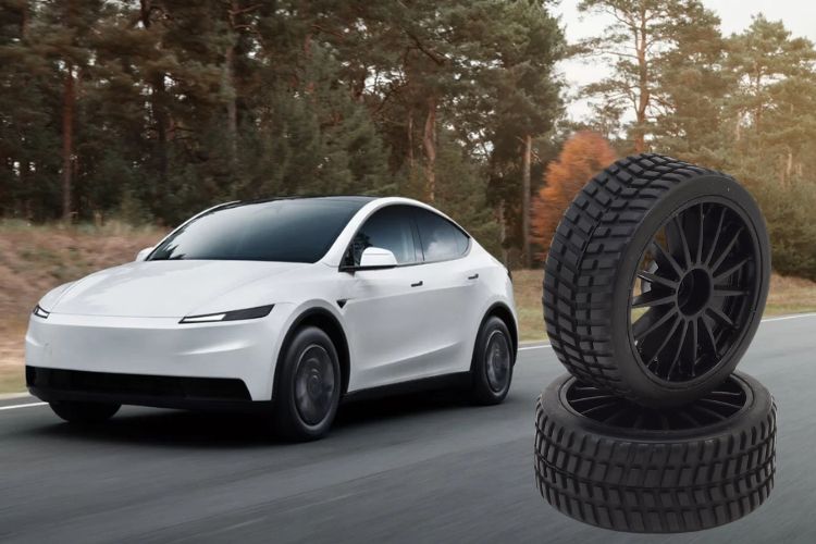 best ev tires for model y