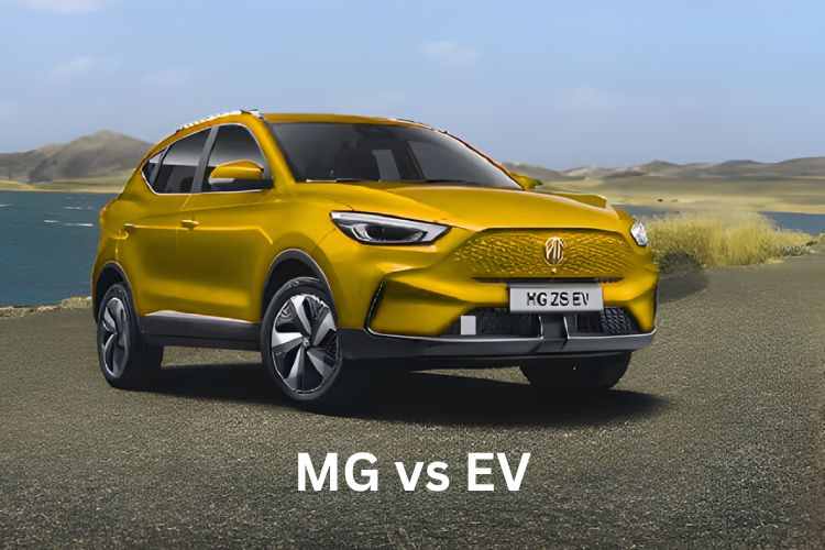 mg vs ev