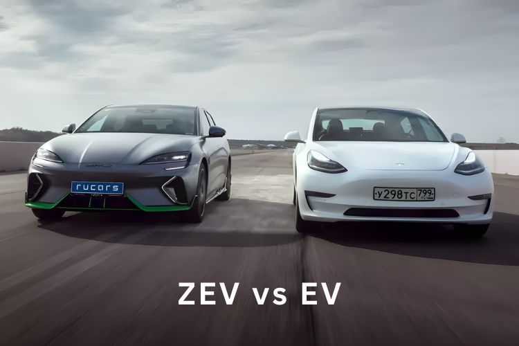 zev vs ev